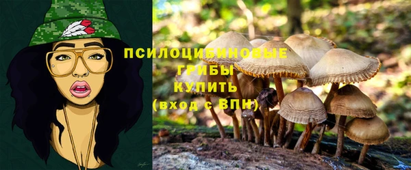 марки nbome Пролетарск