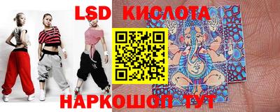 мдпв Камышлов