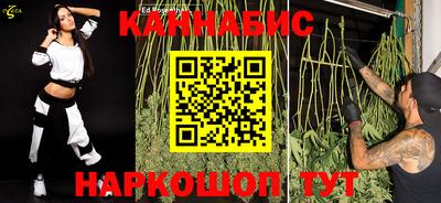 мдпв Камышлов