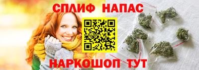 мдпв Камышлов