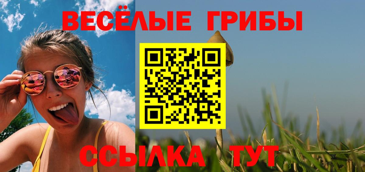 Галлюциногенные грибы Psilocybine cubensis Нижний Тагил